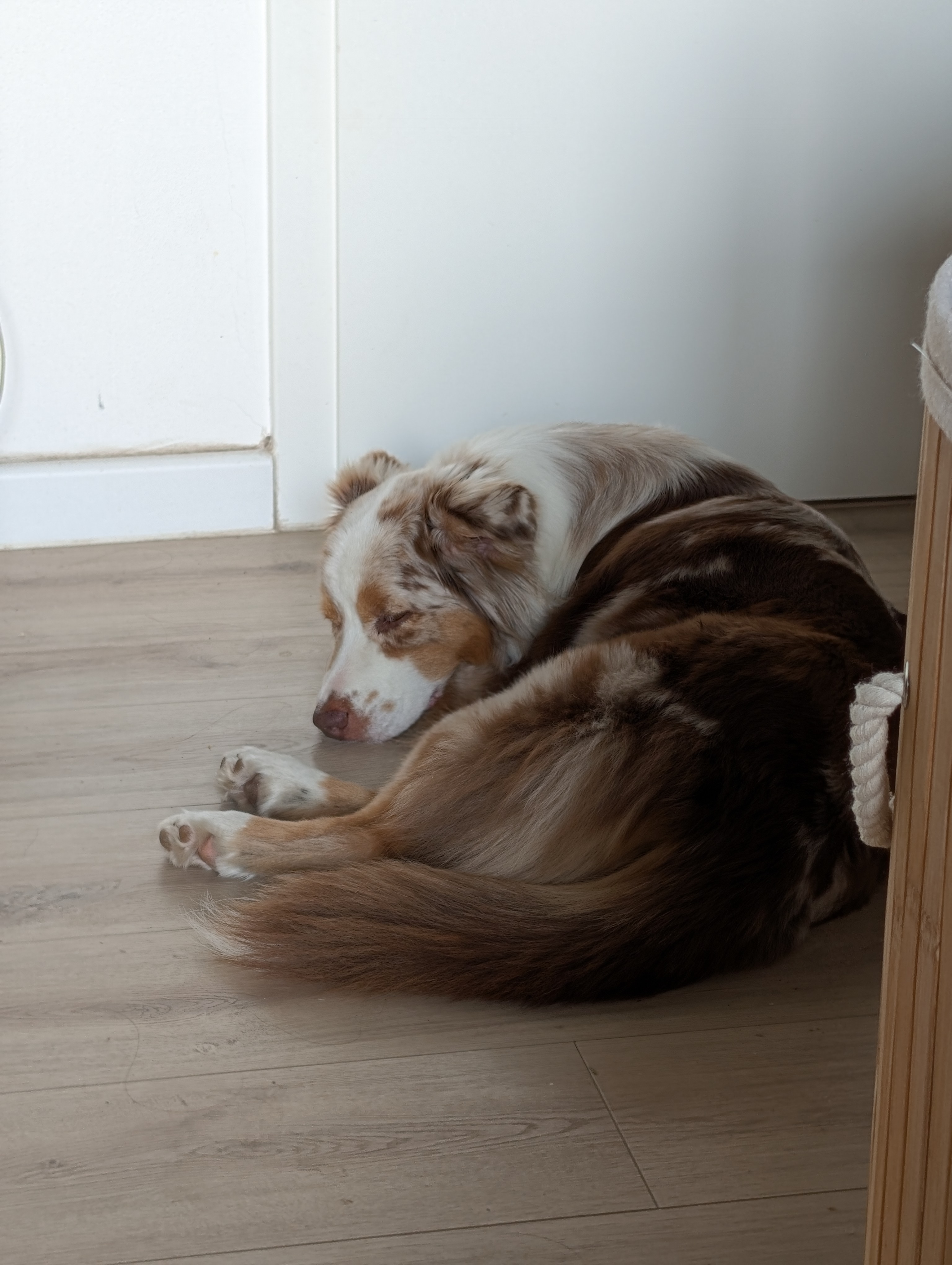 Frieda vom 16.07.2026