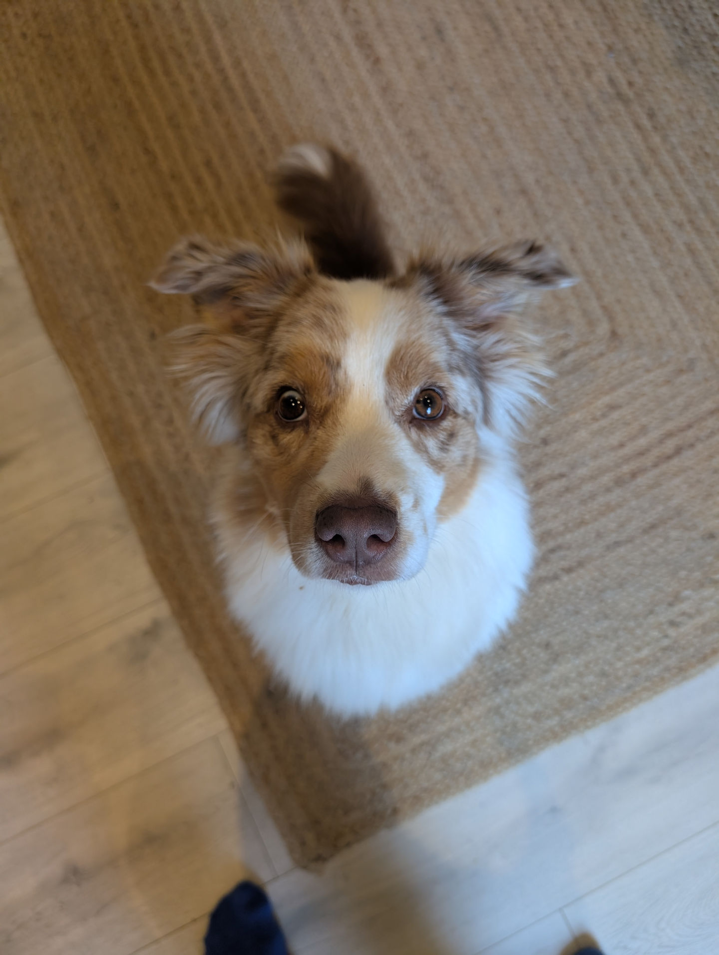Frieda vom 07.05.2026