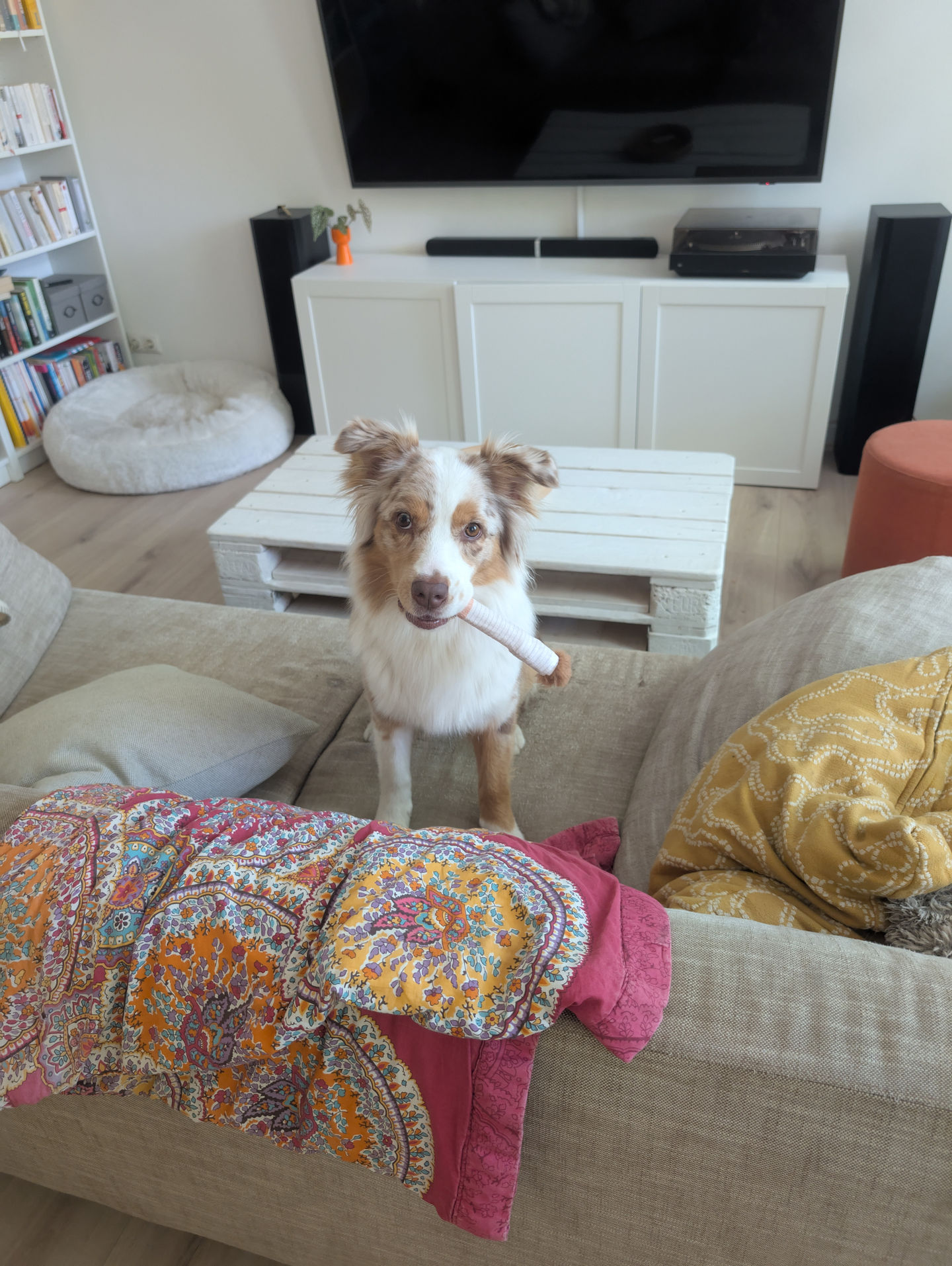 Frieda vom 28.06.2025