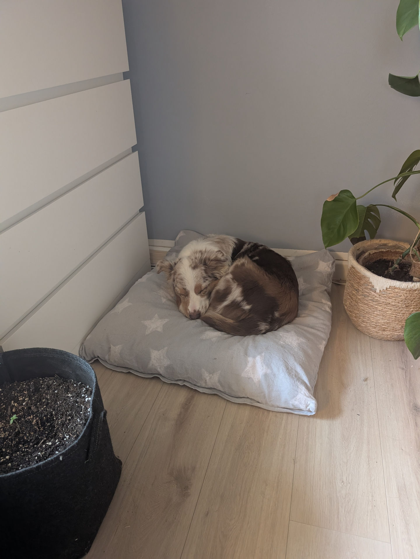 Frieda vom 06.05.2026