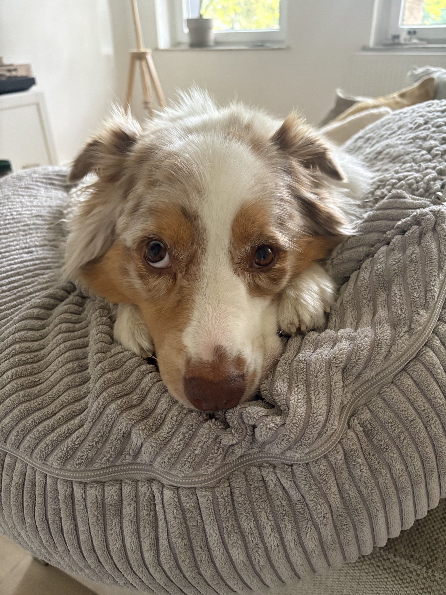 Frieda vom 19.09.2026
