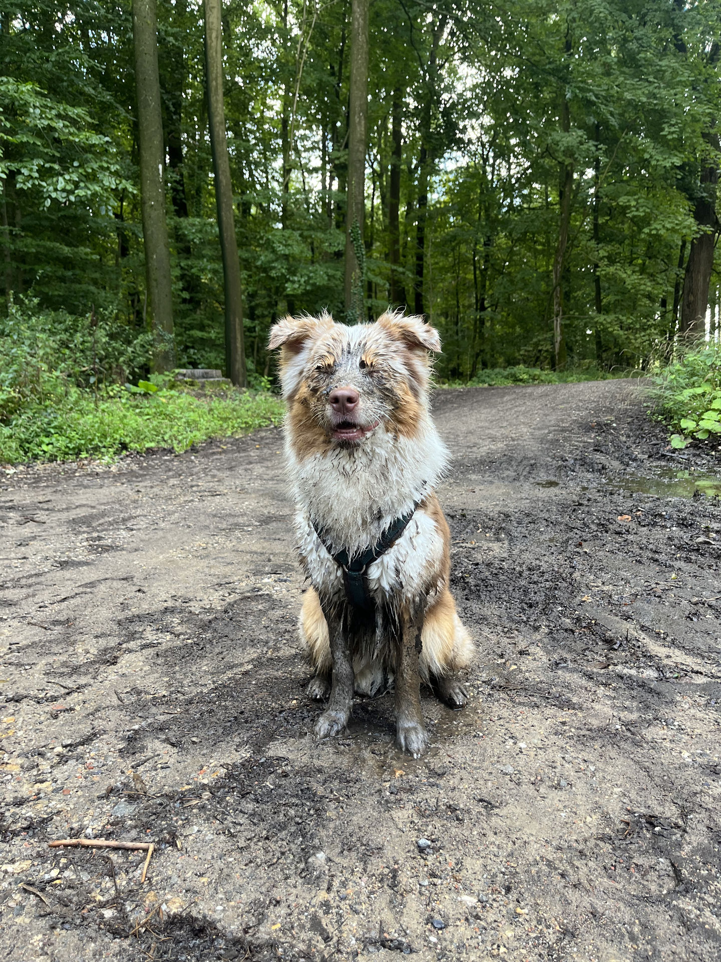 Frieda vom 02.09.2023