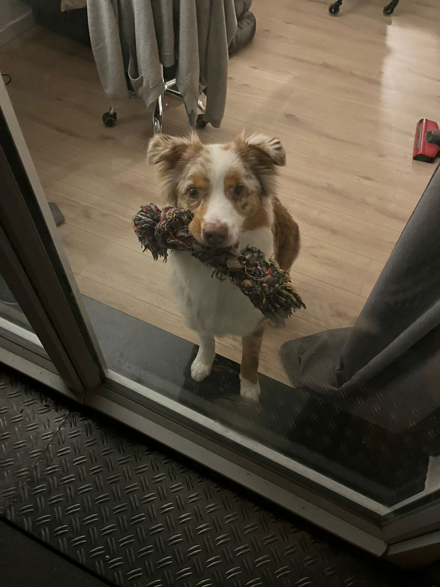 Frieda vom 29.09.2022