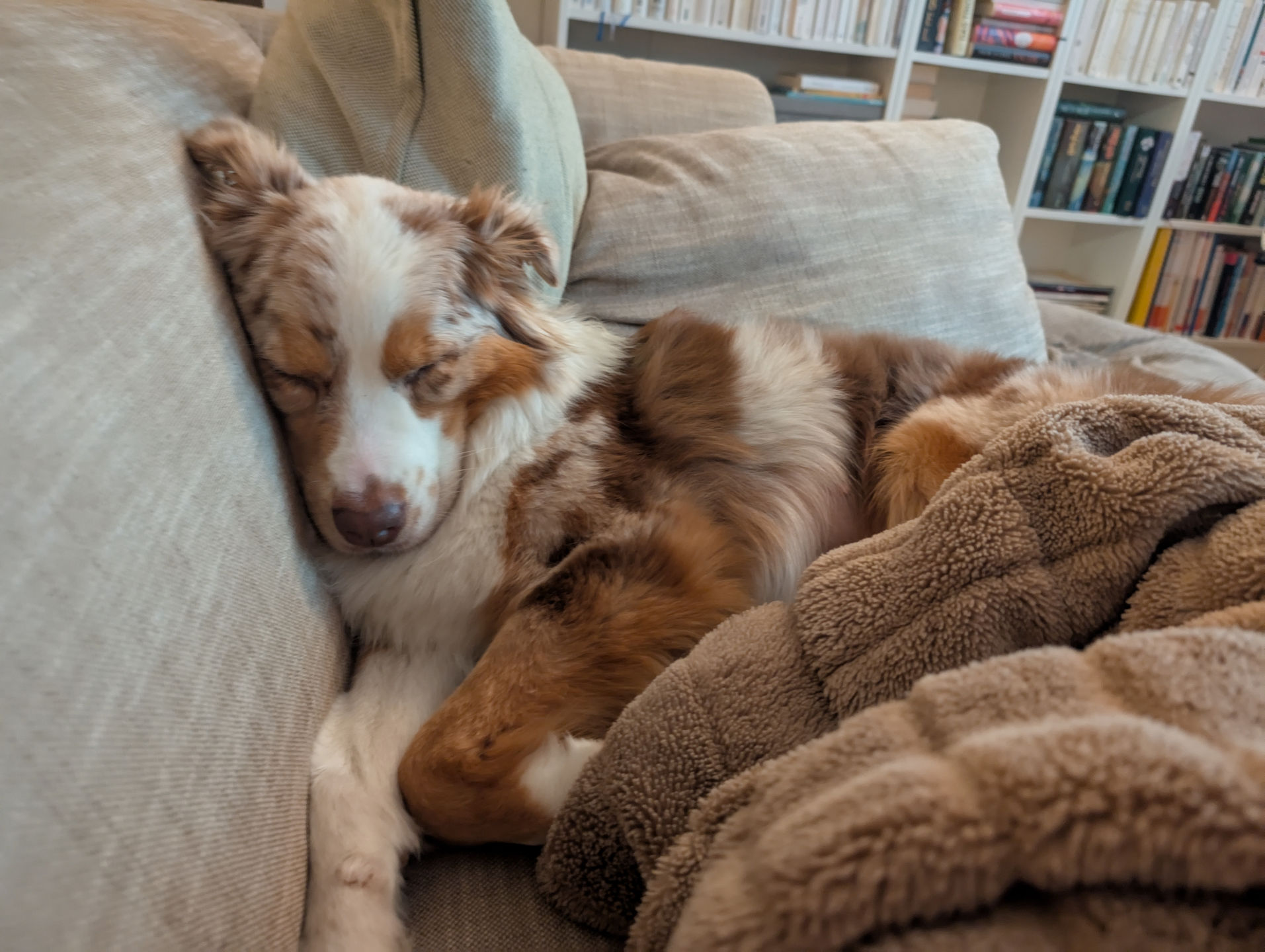 Frieda vom 17.04.2025