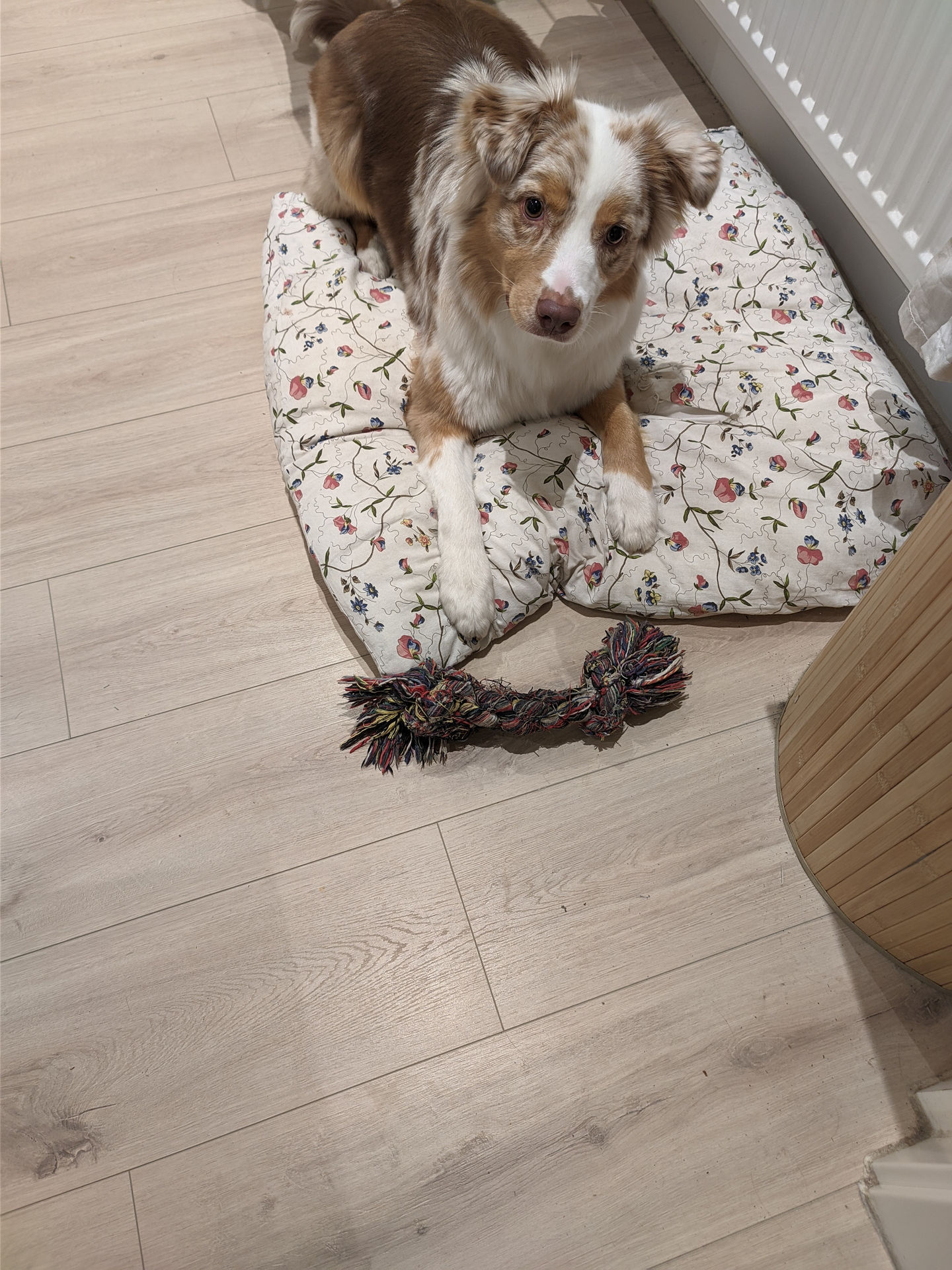 Frieda vom 29.09.2022