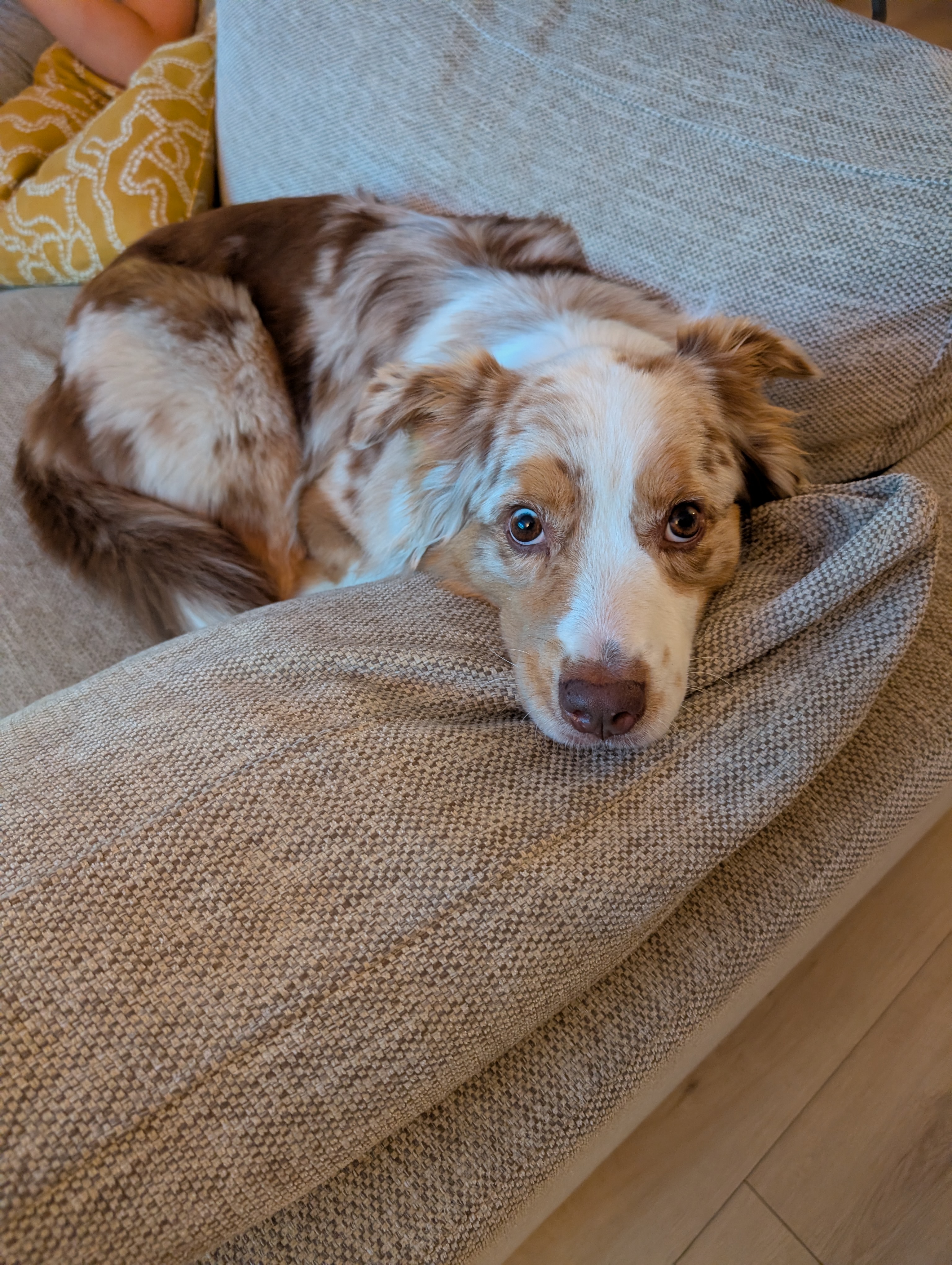 Frieda vom 12.07.2026