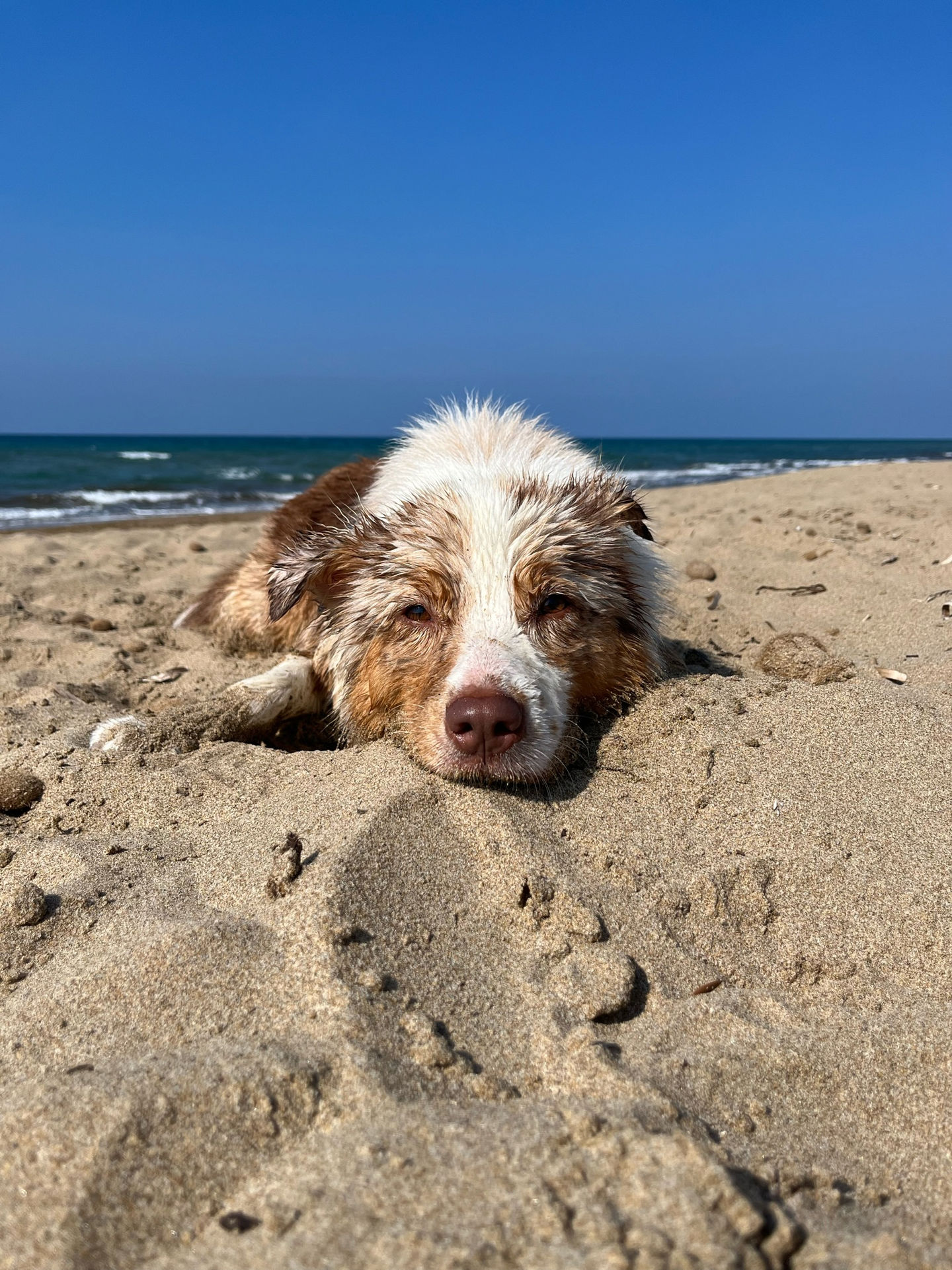 Frieda vom 06.10.2023