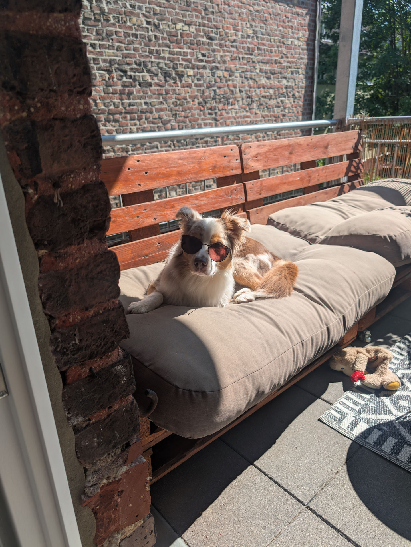 Frieda vom 28.06.2025