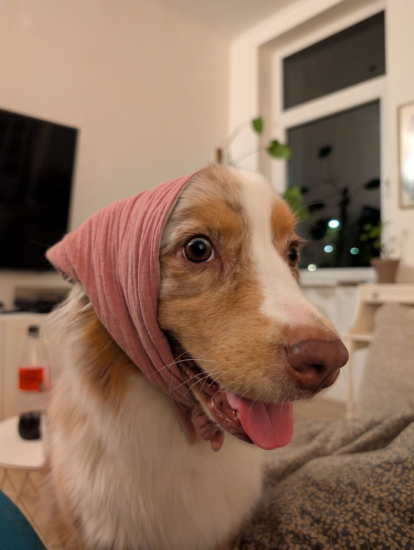 Frieda vom 05.03.2026