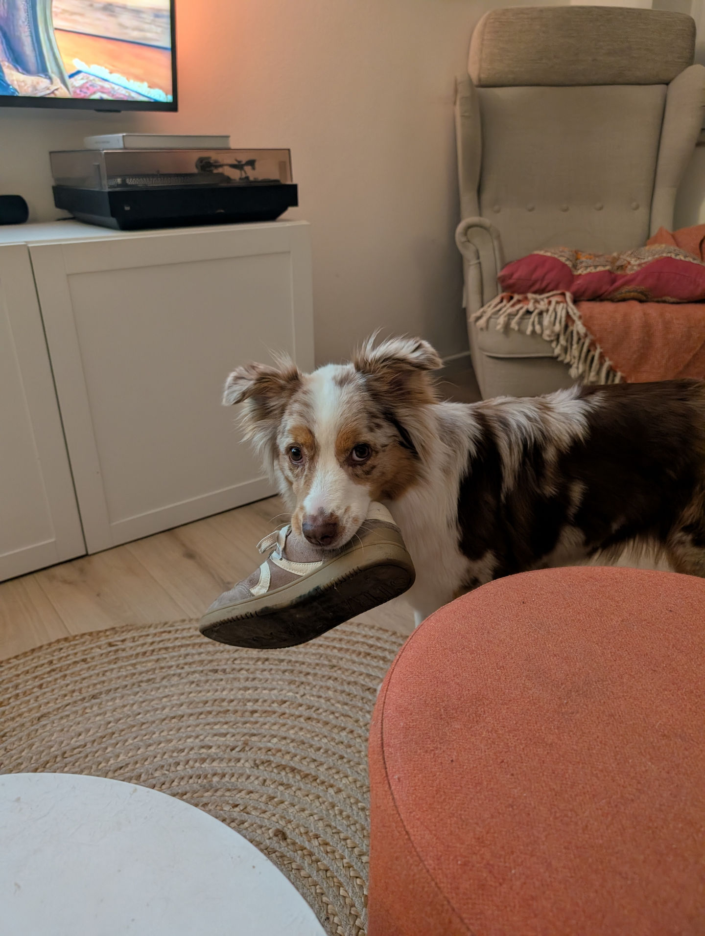 Frieda vom 07.05.2026