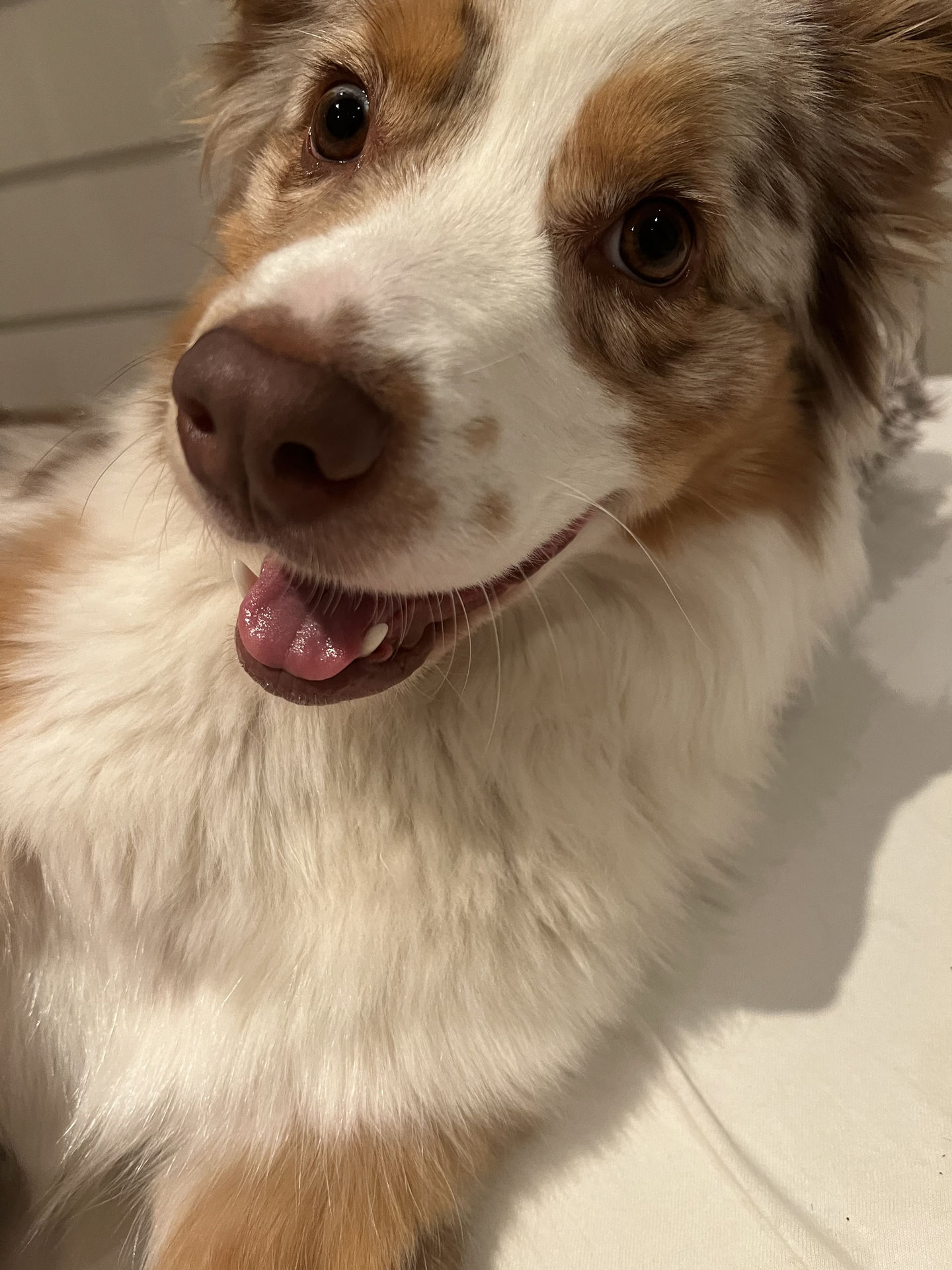 Frieda vom 27.04.2024