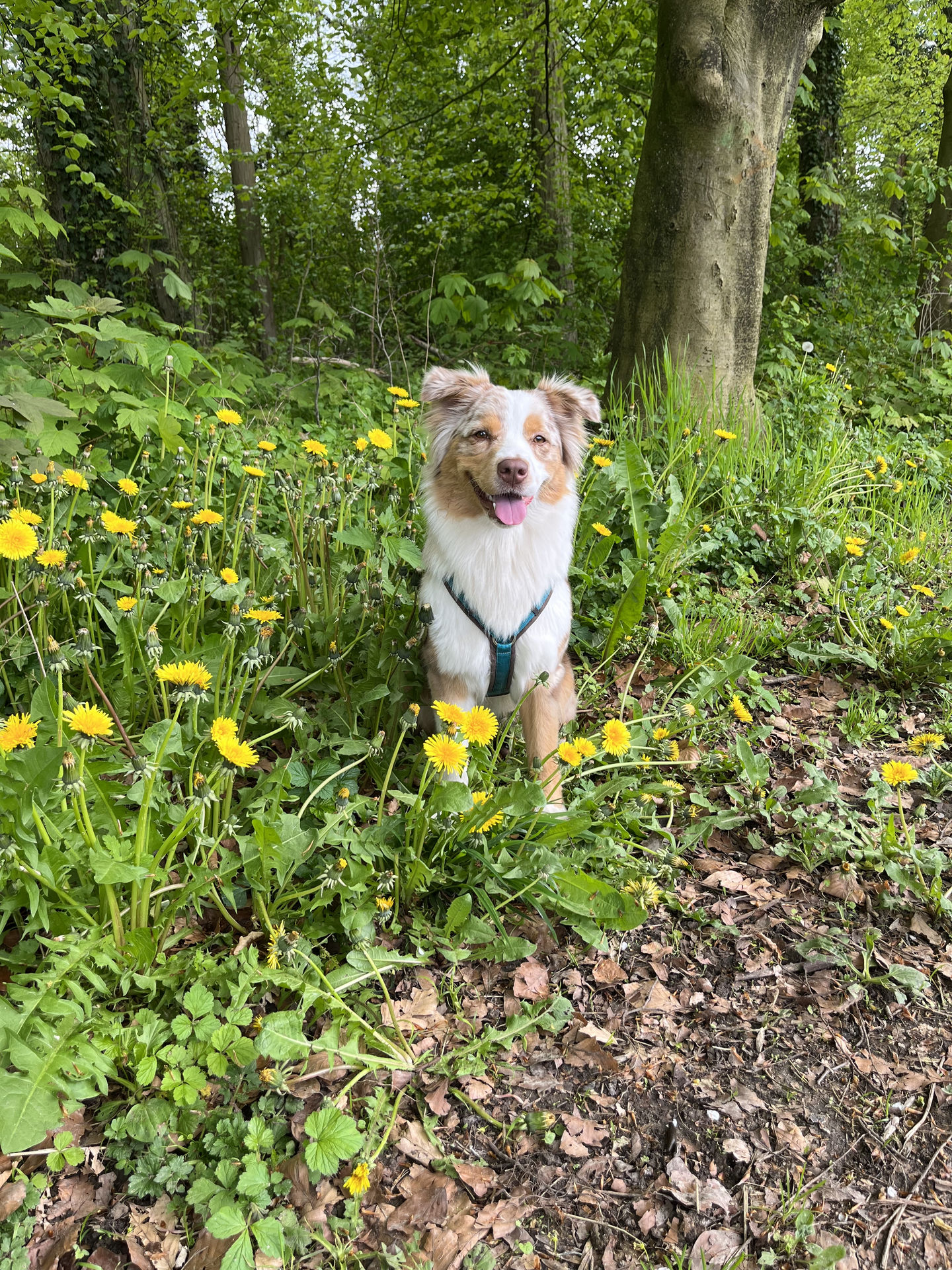 Frieda vom 05.05.2023