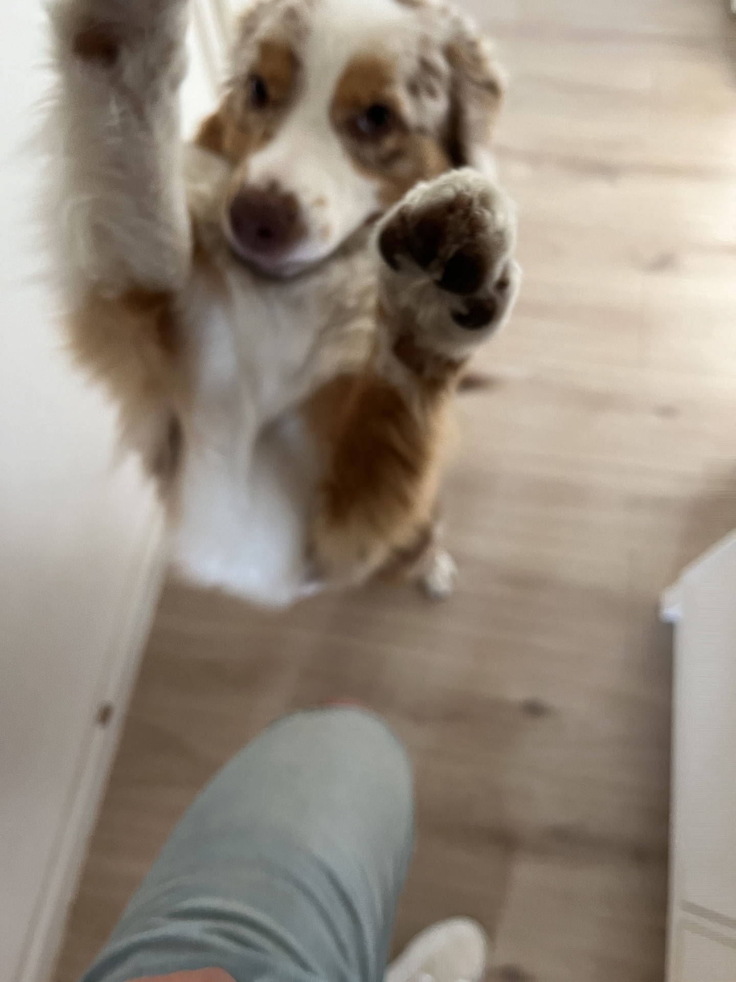 Frieda vom 13.06.2023