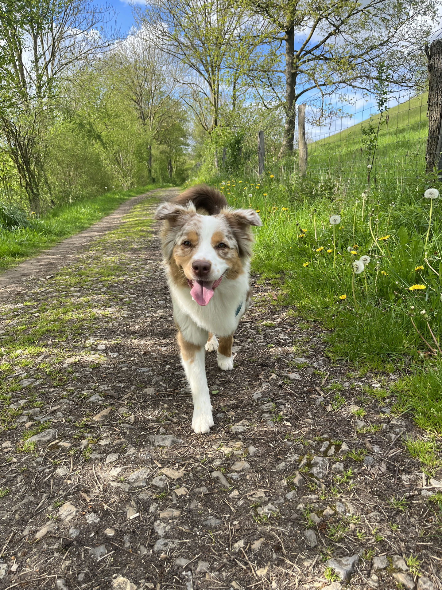 Frieda vom 05.05.2023