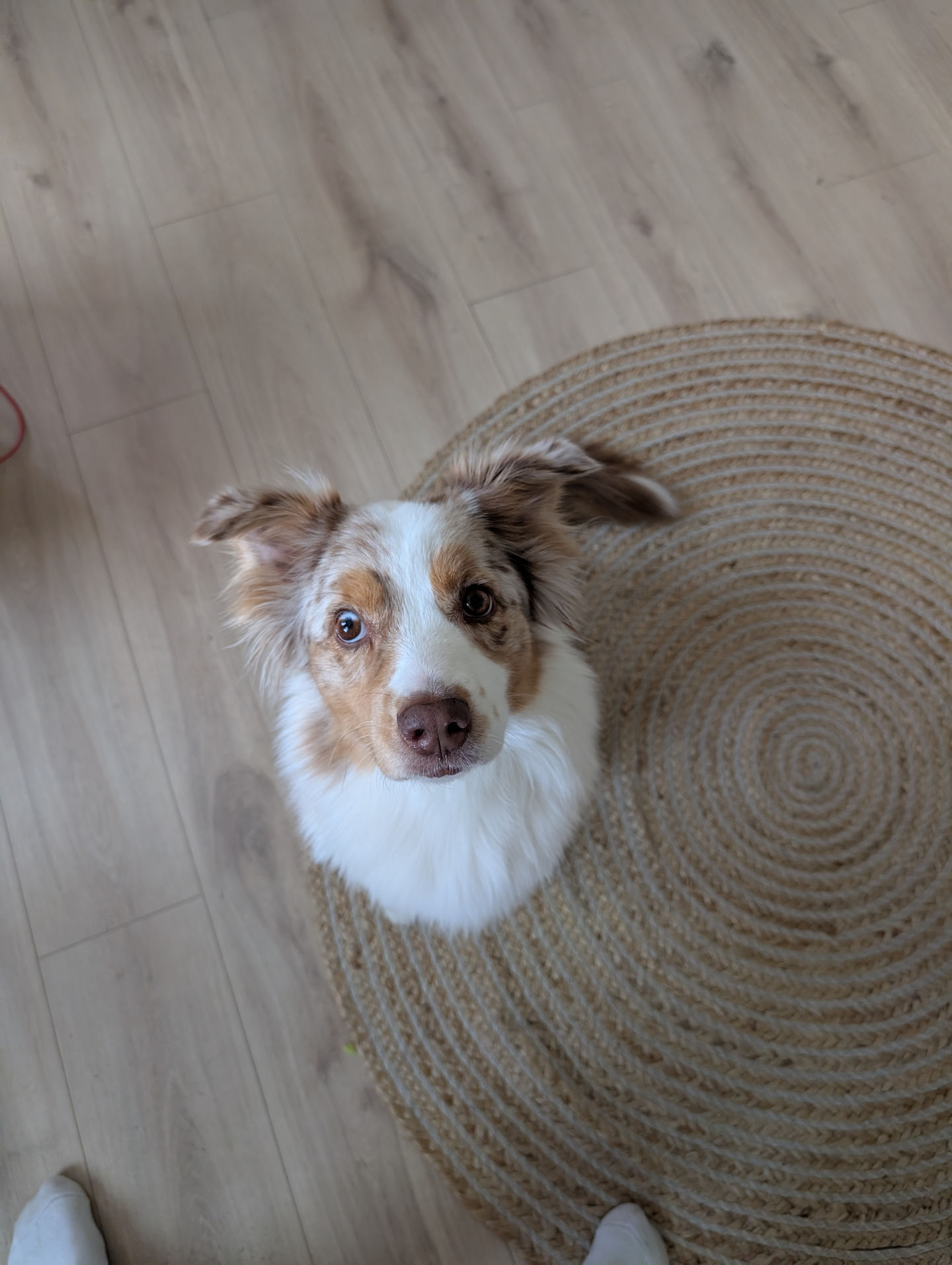 Frieda vom 14.05.2026