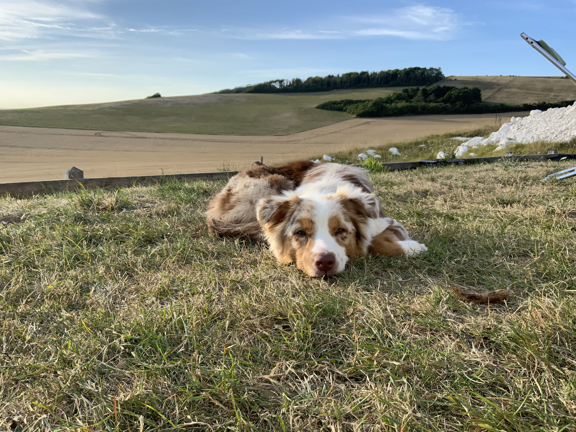 Frieda vom 07.08.2022