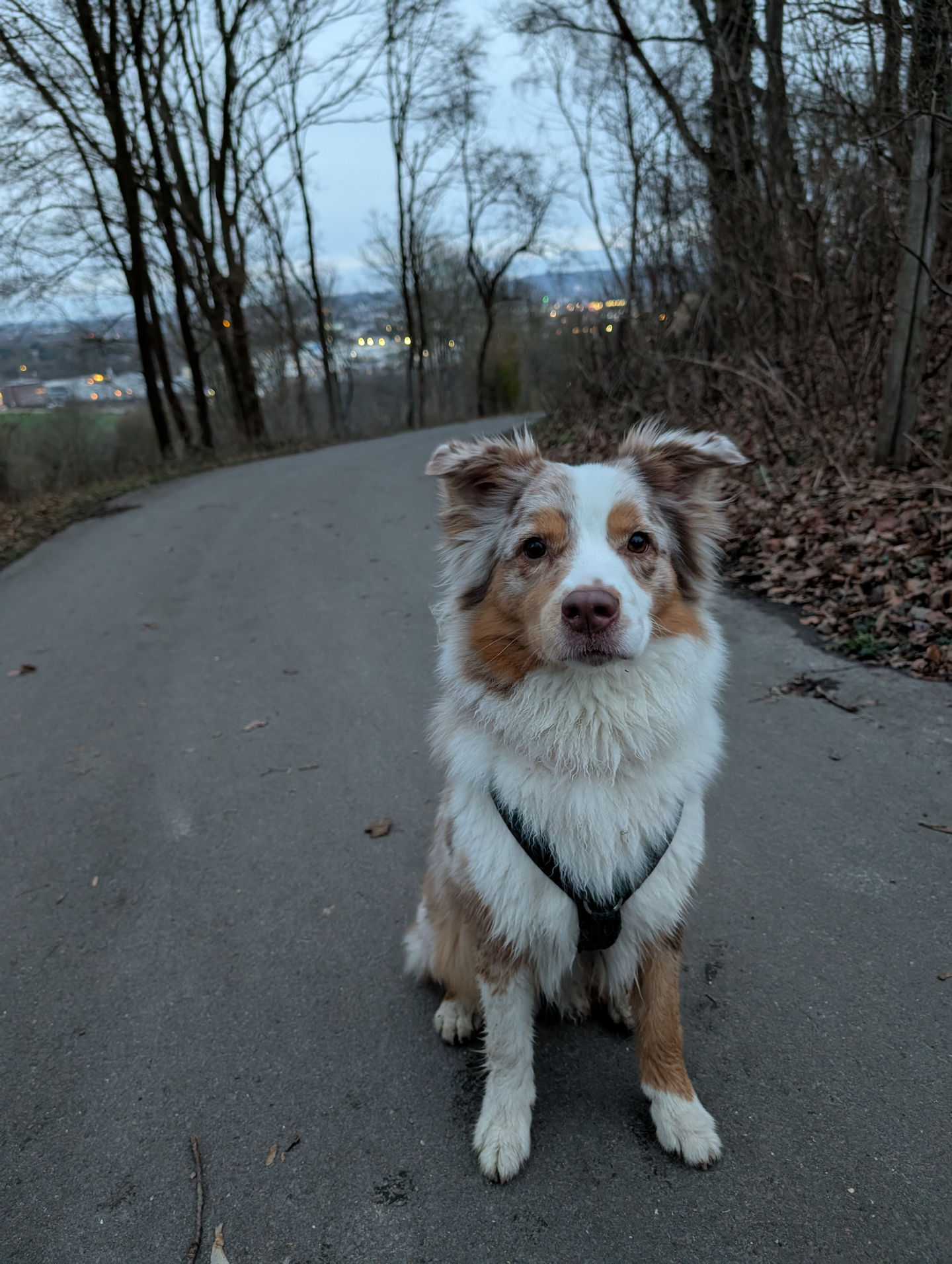 Frieda vom 18.02.2026