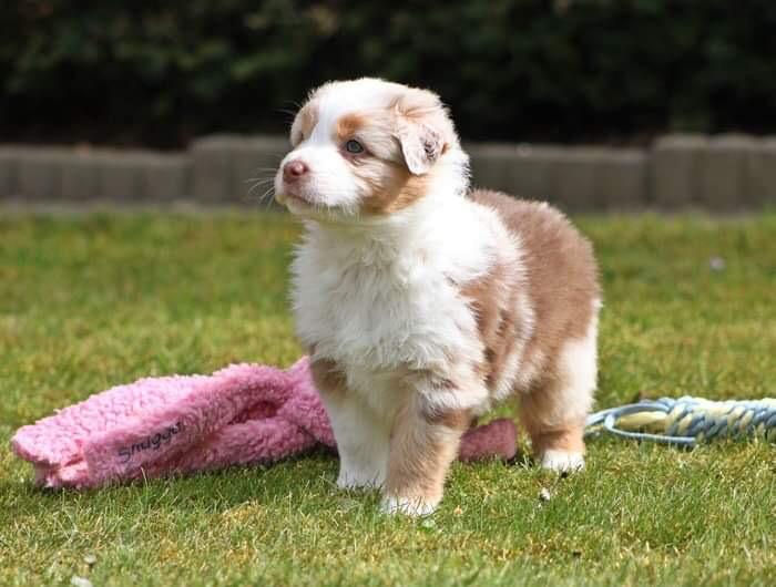 Frieda vom 26.04.2021