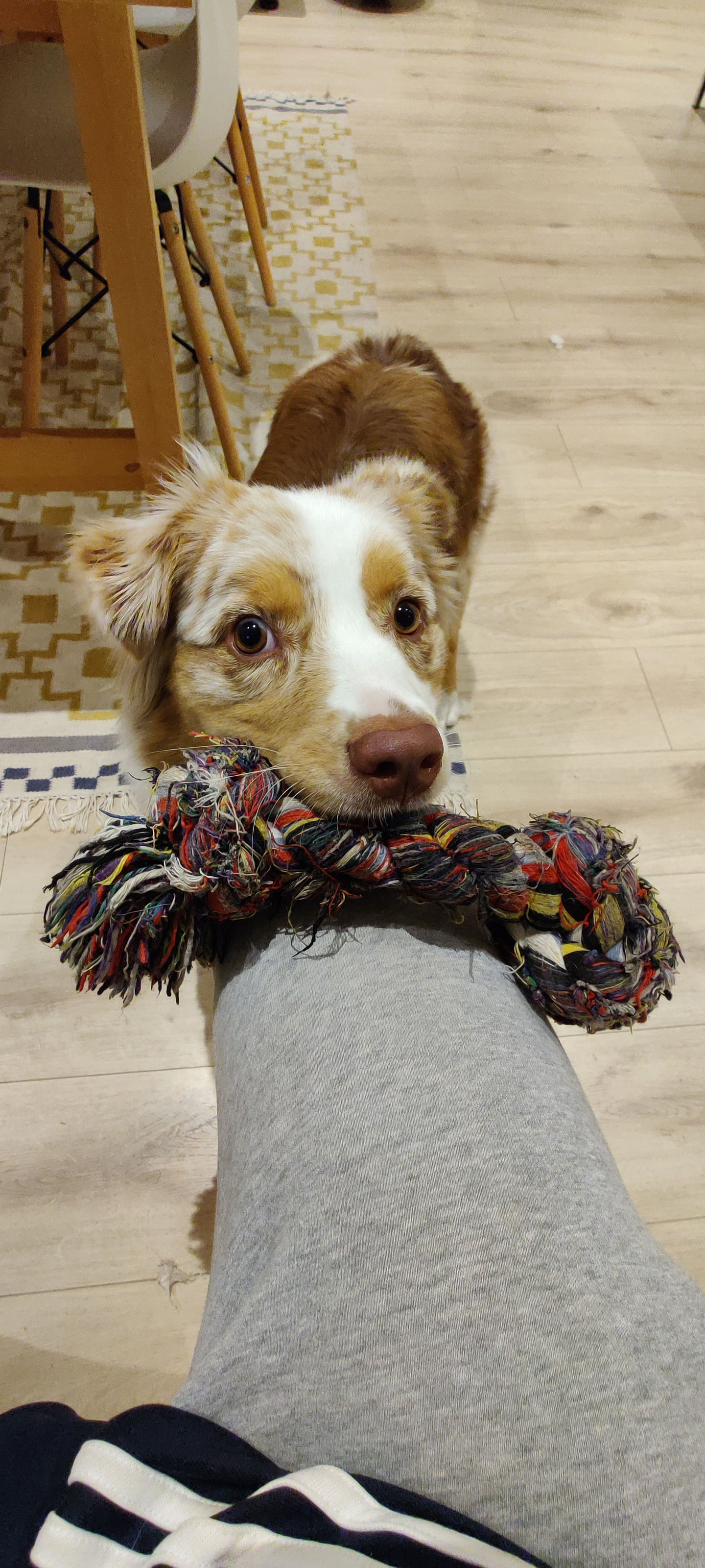 Frieda vom 28.08.2022